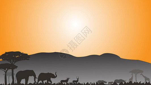 大象犀牛鹿和长颈鹿的全框架圆形双周光圈背景图片
