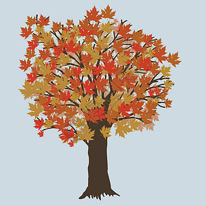 白顶溪鸲红叶和橙叶的柳木插画