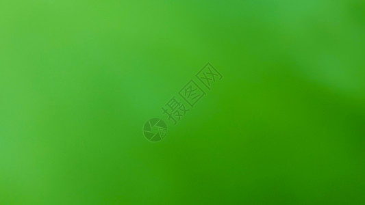 a 绿色自然模糊背景曲线叶子创造力海浪阳光艺术摄影墙纸插图坡度背景图片