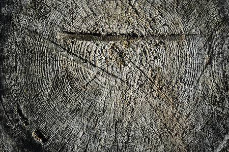 树桩表面有用斧头和锯子做工的痕迹背景图片