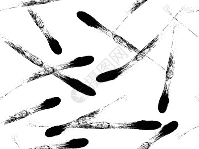 白色背景上黑色墨漆黑墨迹的笔刷画笔插图刷子涂鸦绘画墙纸织物中风风格艺术背景图片
