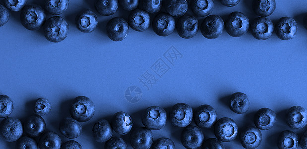 蓝纸背景蓝莓 深色调图像背景图片