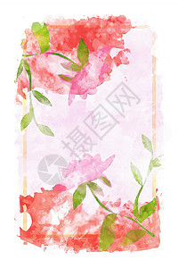 粉红水色背景的红玫瑰插图场地绘画玫瑰粉色花朵水彩卡片红色背景图片