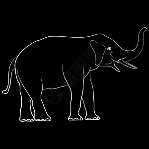 矢量大象大象亚洲站立 孤立的白色背景图画设计矢量说明 Name哺乳动物荒野野生动物插图标识草图艺术绘画卡片设计图片