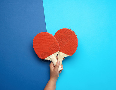 雌性手握着两只蓝背角的木制乒乓球棍背景图片