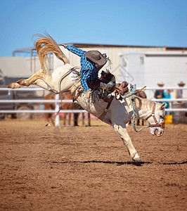 牛仔竞技表演危险骑士高清图片