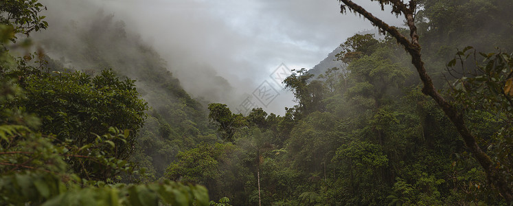 热带云林秘鲁的云林 全景背景