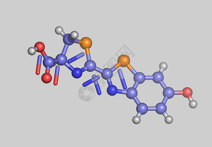 Luciferin 原子分子模型藻类科学计算机萤火虫生物核电债券荧光图像棍子背景图片