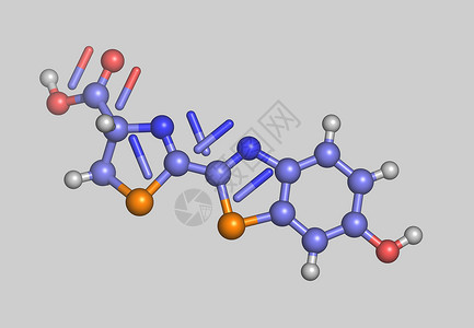 Luciferin 原子分子模型科学棍子图像藻类计算机荧光债券萤火虫生物核电背景图片