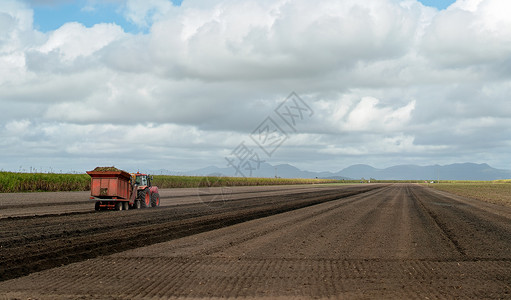 拖拉机在围场在花田种植甘蔗的农耕背景