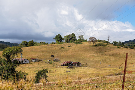 澳大利亚乳奶农牧草的滚山庄园森林干旱滚动天空雨量牧场山谷阳光奶制品树木背景图片