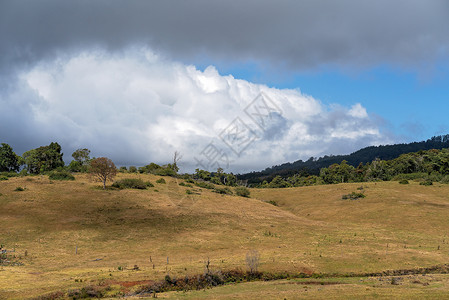 风云下澳洲乳奶农牧草的滚山丘背景图片