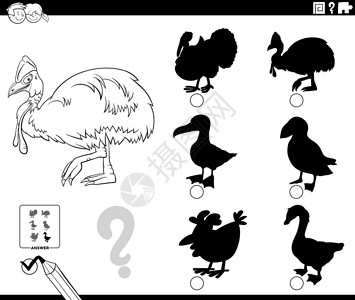 食火鸡带有cassowary 字符色彩化书页的阴影游戏设计图片