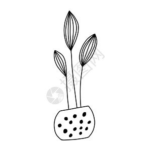 单面枕头套陶器中的小手画花 单面图示元素 白色背景上隔开 矢量插图植物学园艺卡通片手绘艺术卡片装饰植物风格草图设计图片