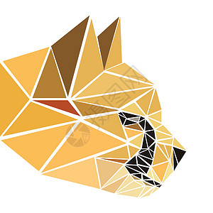 三角形猫素材多边形抽象几何三角形猎豹 低多色头野生动物标识插图猎人大猫捕食者哺乳动物攻击动物野猫背景