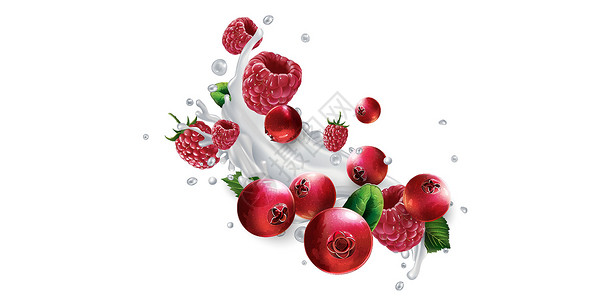 奶汁或酸奶喷洒中的果浆和草莓覆盆子广告饮食食物醋栗甜点味道营养美食产品插画