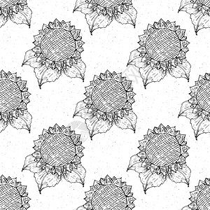 向日葵油手画草图 背景 打字设计矢量插图的天花月无缝模式纺织品墙纸包装绘画花瓣植物种子织物潮人海报设计图片