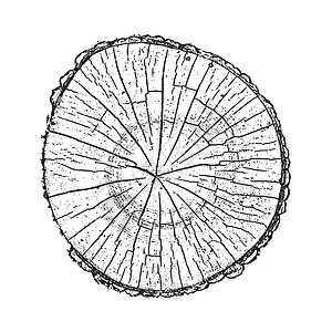 圆形木头树木 木林生长环和纹理矢量说明日志树干森林黑色木头圆圈衬衫戒指木刻木材插画