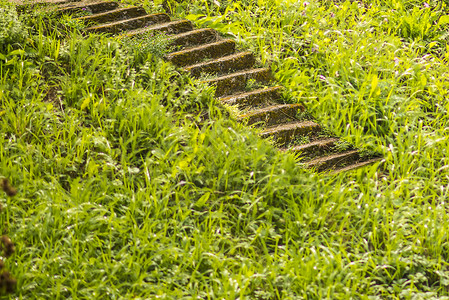 绿色的旧楼梯场景公园岩石石头建筑花园脚步美丽小路入口背景图片