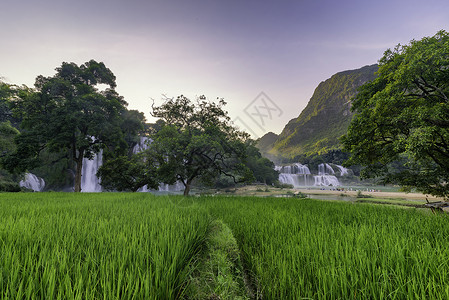 Ban Gioc  越南高邦的德台瀑布库存森林水池世界丛林天线热带旅行公园瀑布背景图片