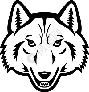 北极狼黑白马斯科特品牌卡通片团队犬类体育插图吉祥物艺术品宠物身份插画