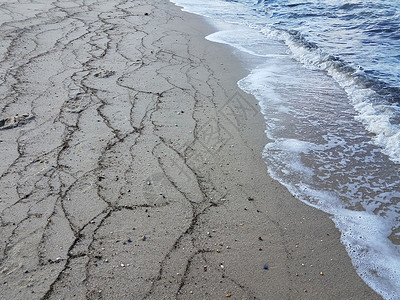 沙滩上海草 沙土和水植物海岸海洋线条波浪支撑海滩环境背景图片