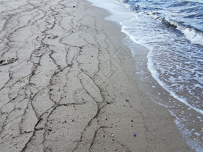 沙滩上海草 沙土和水环境线条海洋支撑海滩海岸植物波浪背景图片