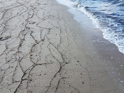 沙滩上海草 沙土和水支撑线条植物波浪环境海滩海岸海洋背景图片