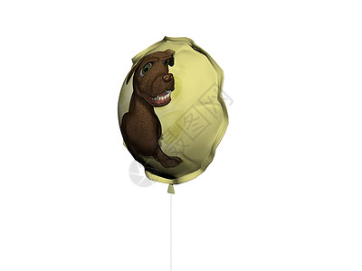 黄黄气球 有棕色狗的照片庆典爪子派对哈巴狗玩具细绳背景图片