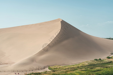 沙漠周围有绿环境植物地球土地荒野曲线风景场地干旱沙丘背景图片
