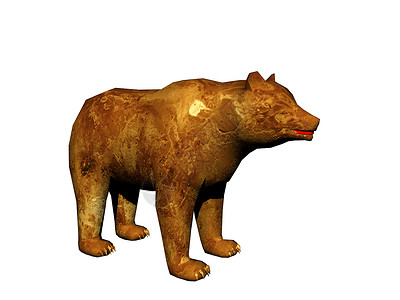 美国棕熊 有爪子和尖利牙齿捕食者毛皮白色背景图片
