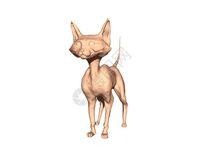 长耳朵的裸裸瘦皮卡通猫尾巴褐色漫画爪子背景图片