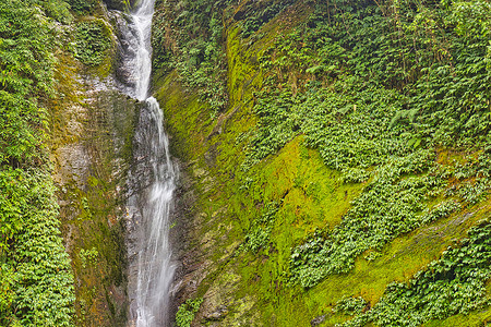 索布尔瀑布生物多样性新鲜空气高清图片