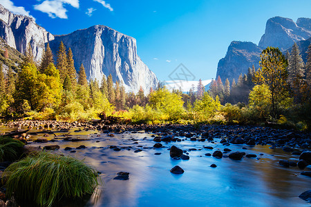 岩石地美国Yosemite 山谷早景松树草地公园森林国家薄雾旅游荒野悬崖美丽背景