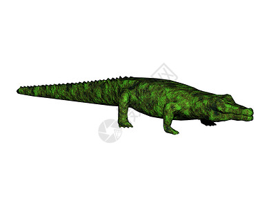 具有表皮的绿色原始面鳄鱼危险爬虫卡通片捕食者漫画假牙棕色背景图片