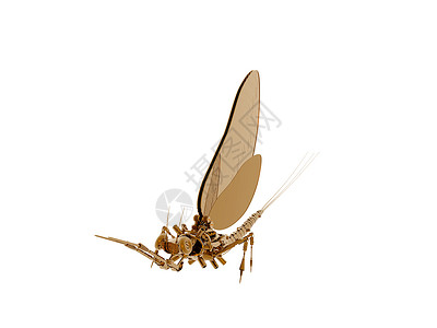 电子翅膀素材电子机器人可在空中飞翔工程力学技术蜉蝣昆虫触角金属相机复眼苍蝇背景