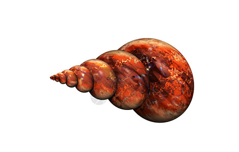 具有结构的螺旋螺壳住房蜗牛壳蜗牛旋转石灰石背景图片
