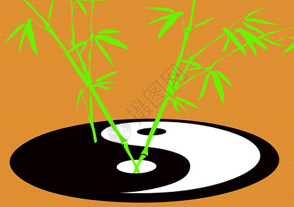 竹子生长的道教象征棕色绿色平衡黑色意见太极绘画解决方案哲学植物背景图片