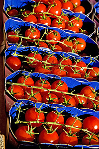 卖樱桃街市卖番茄烹饪绿色美食食物蔬菜红色民众营养收成厨房背景