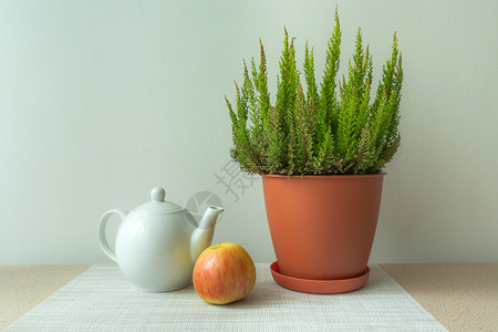 白瓷茶壶 苹果和锅里的花高清图片