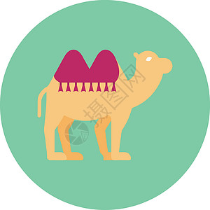 运输旅行骆驼哺乳动物单峰野生动物荒野驼峰动物旅游大篷车背景图片