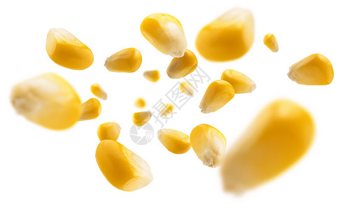白色背景的裂玉米颗粒悬浮在白色背景上收藏飞行饮食团体收获植物蔬菜核心农业宏观背景图片