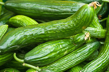 黄瓜绿色烹饪沙拉蔬菜厨房背景图片