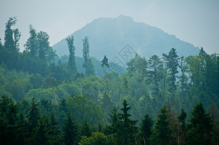 山林森林全景绿色爬坡牧歌土地国家高清图片