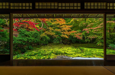 京都罗里柯宁寺庙的日本秋天花园多姿多彩建筑学镜子叶子红色黄色森林琉璃光框架旅游神社背景图片