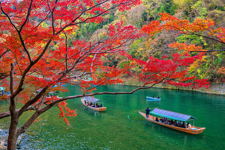 在京都沿河的秋季 充满多彩的阿拉希山叶子文化月桥旅游花园地标吸引力旅行季节木头背景图片