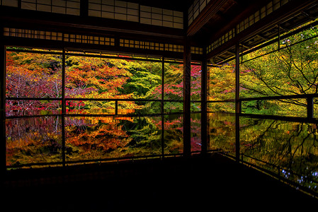 京都罗里柯宁寺庙的日本秋天花园多姿多彩镜子黄色旅行叶子森林反射框架琉璃光建筑学神社背景图片
