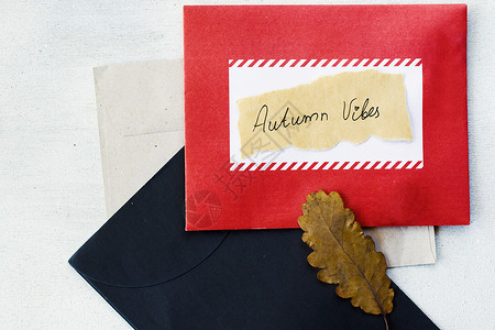 黑色面膜纸信封和秋天干枯的植物和鲜花 纸上的记忆文字问候语笔记红色卡片送货邮政黑色地址刻字邮寄背景