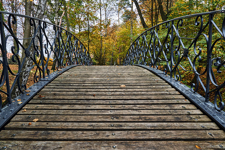 公园中的伍德人行桥光束叶子闲暇落叶行人栏杆树干小路金属背景图片