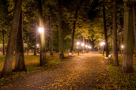 夜间秋夜公园 在人行道和长凳上放落叶子正方形木头胡同长椅景观城市灯光公园金子小路背景图片